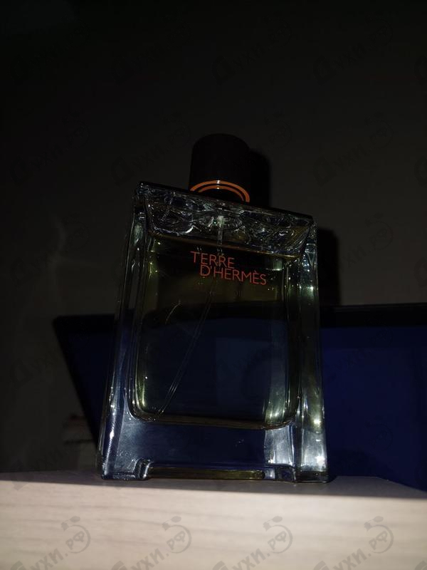 Парфюмерия Hermes Terre D'hermes