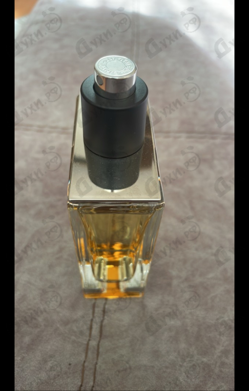 Отзывы Hermes Terre D'hermes