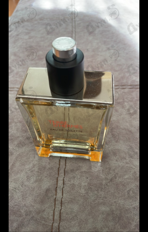 Отзывы Hermes Terre D'hermes
