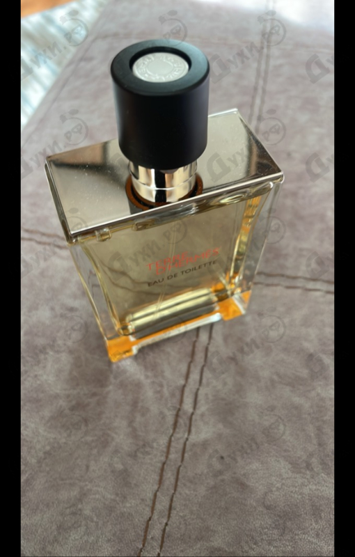 Парфюмерия Terre D'hermes от Hermes