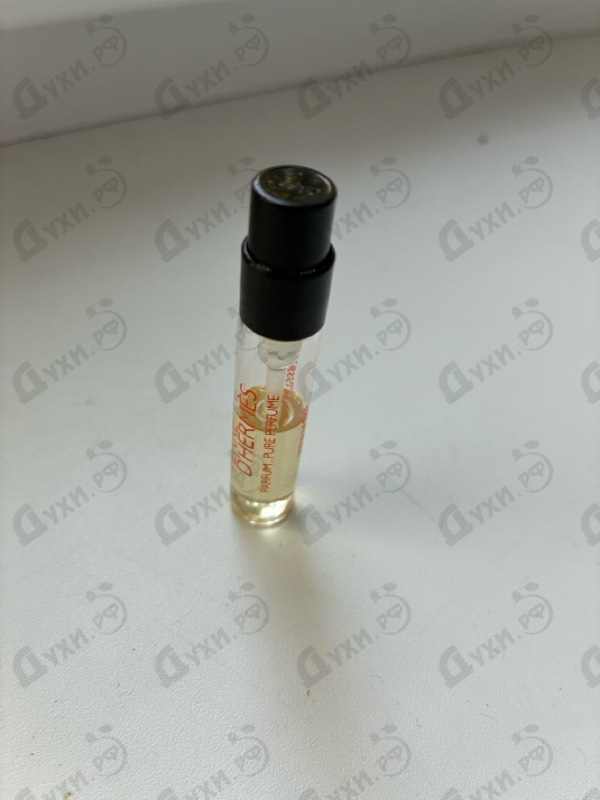 Купить Hermes Terre D'hermes