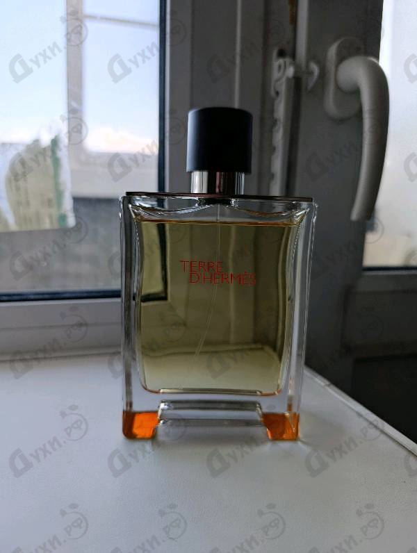 Отзывы Hermes Terre D'hermes