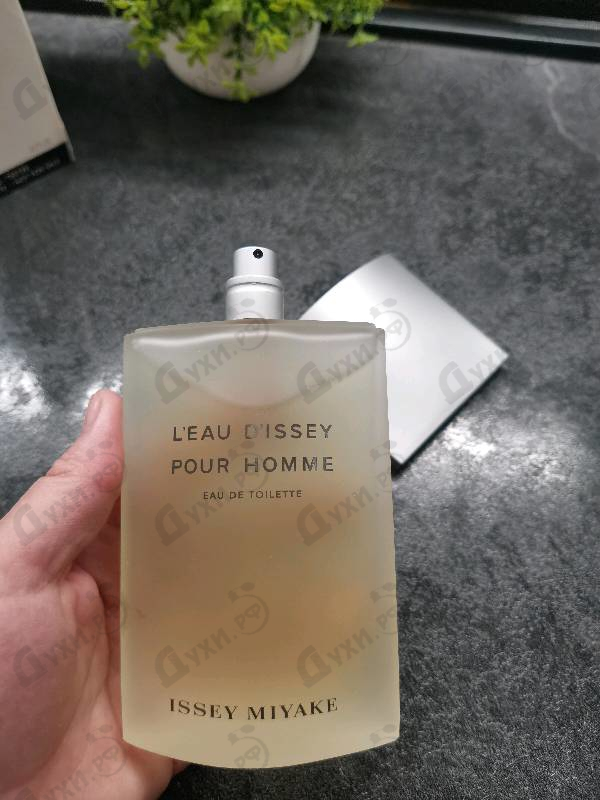 Парфюмерия L'eau D'issey от Issey Miyake
