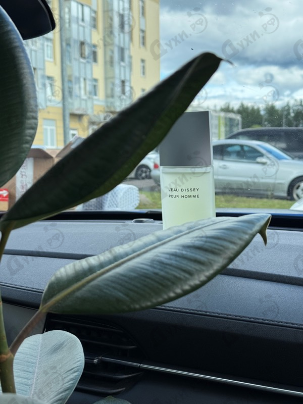 Купить Issey Miyake L'eau D'issey