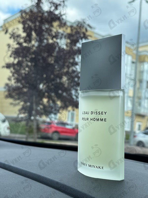Купить L'eau D'issey от Issey Miyake