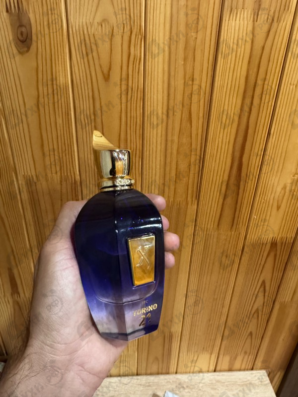 Купить Torino21 от Xerjoff