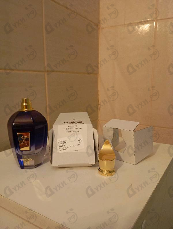 Купить Torino21 от Xerjoff