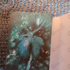 Отзывы Haute Fragrance Company Dancing Queen