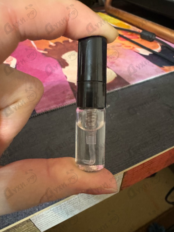 Купить Sun от Jil Sander