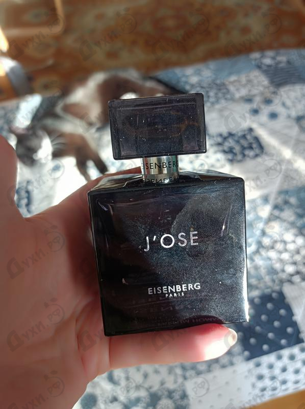 Купить Jose Eisenberg J'ose