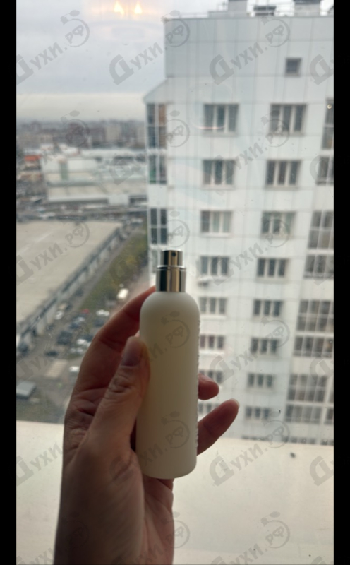 Купить A Lab on Fire Messy Sexy Just Rolled Out Of Bed