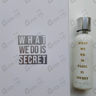 Отзывы A Lab on Fire What We Do In Paris Is Secret