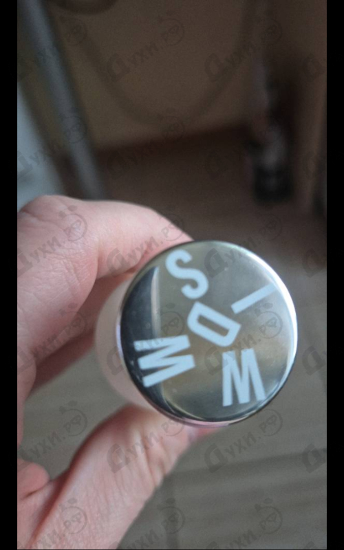 Купить What We Do In Paris Is Secret от A Lab on Fire