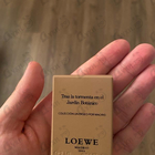 Духи Tras La Tormenta En El Jardin Botanico от Loewe