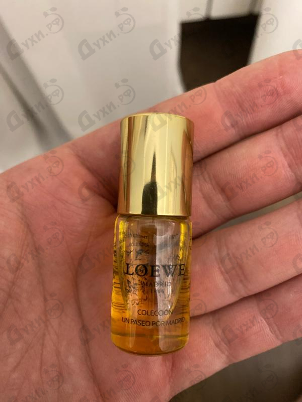 Купить Tras La Tormenta En El Jardin Botanico от Loewe Парфюмерия Loewe Tras La Tormenta En El Jardin Botanico