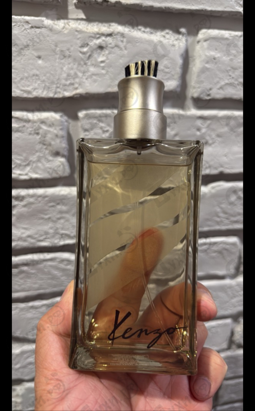 Парфюмерия Jungle от Kenzo