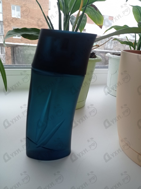 Отзыв Kenzo Pour Homme Духи Pour Homme от Kenzo