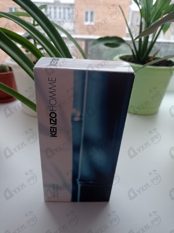 Отзыв Kenzo Pour Homme Купить Pour Homme от Kenzo