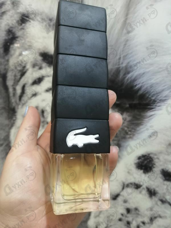 Отзыв Lacoste Challenge