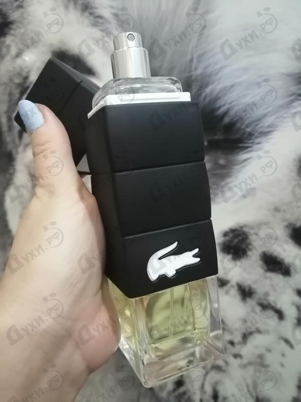 Купить Challenge от Lacoste