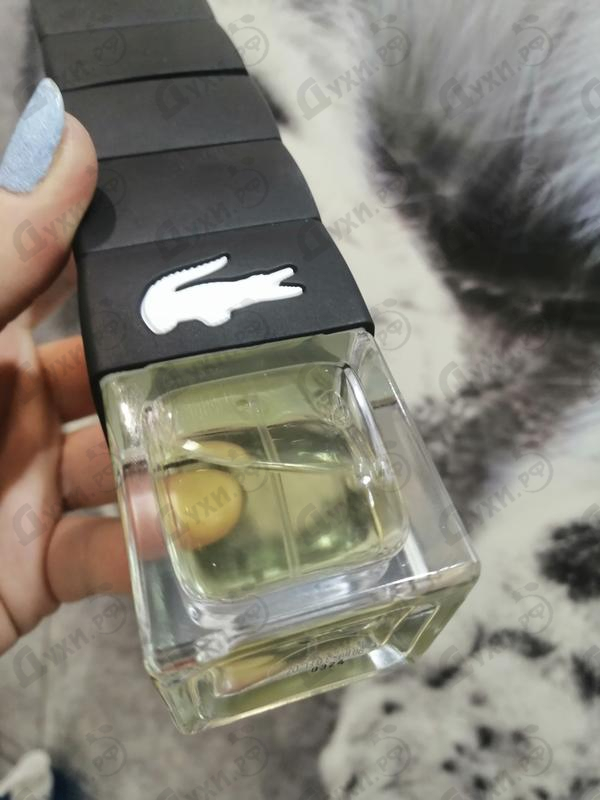 Купить Lacoste Challenge