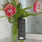 Отзыв Lacoste Challenge