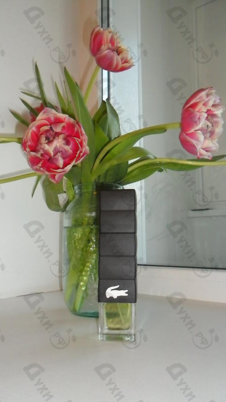 Купить Challenge от Lacoste