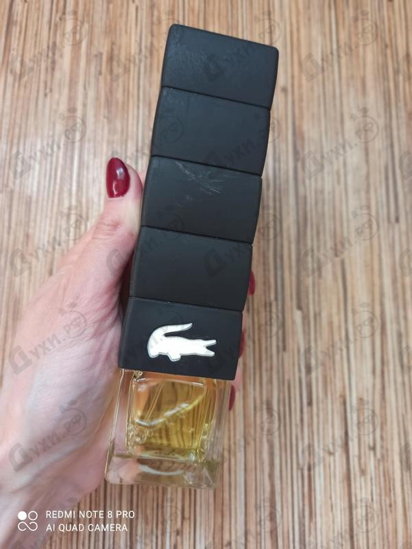 Купить Lacoste Challenge