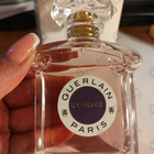 Отзывы Guerlain Insolence 2021