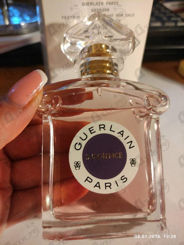 Парфюмерия Guerlain Insolence 2021