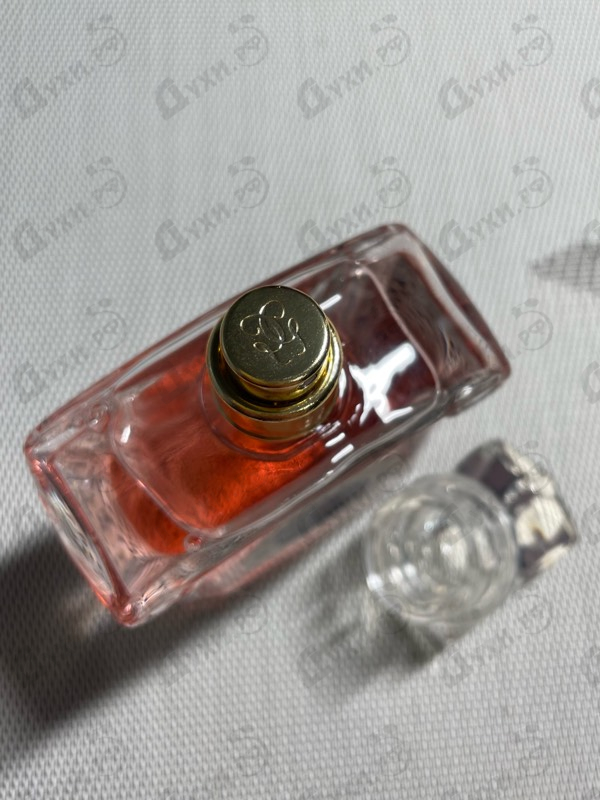 Купить Insolence 2021 от Guerlain