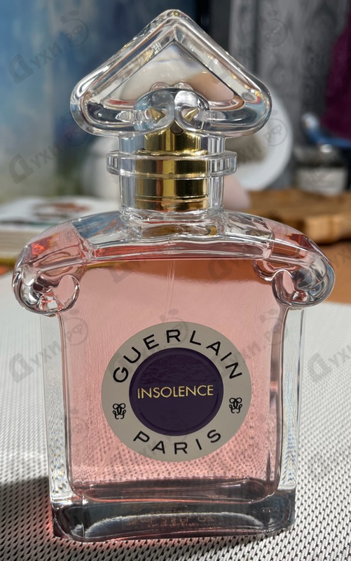 Купить Guerlain Insolence 2021