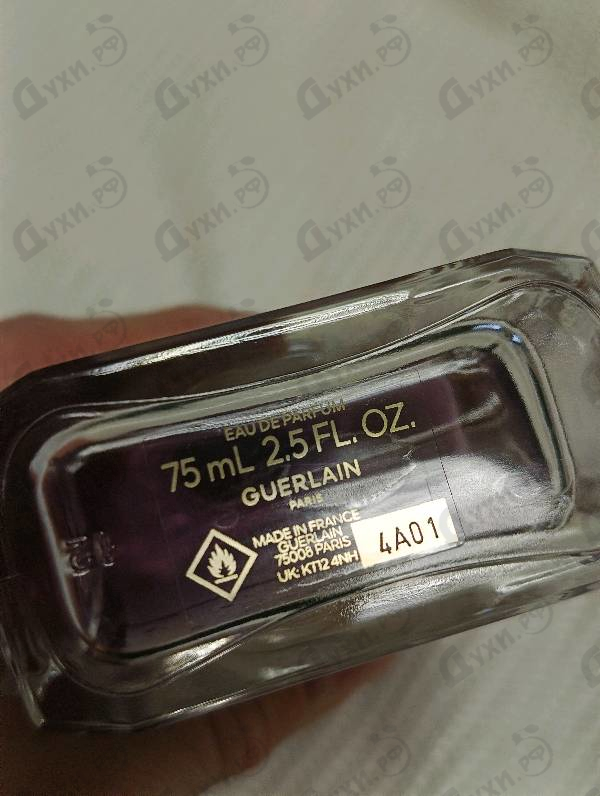 Отзывы Guerlain Insolence 2021
