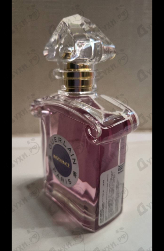 Парфюмерия Insolence 2021 от Guerlain