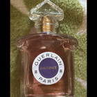 Отзыв Guerlain Insolence 2021