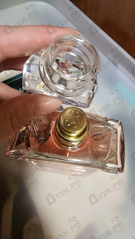 Купить Insolence 2021 от Guerlain