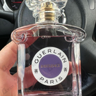 Отзыв Guerlain Insolence 2021