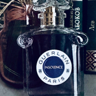 Отзыв Guerlain Insolence 2021