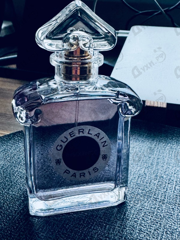 Купить Insolence 2021 от Guerlain
