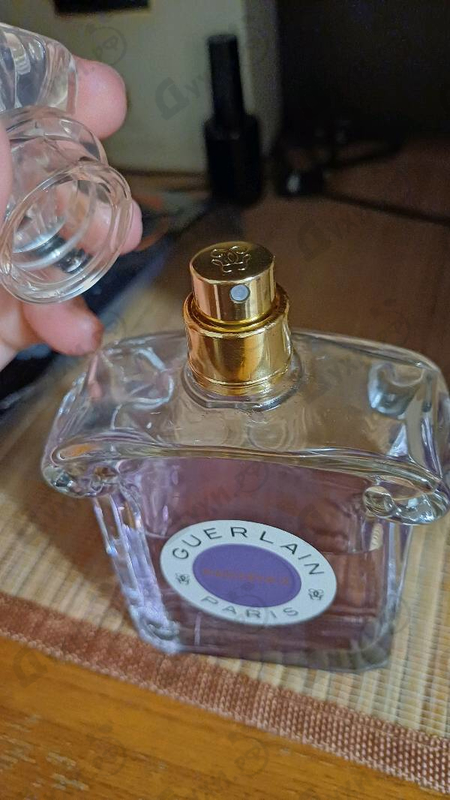 Купить Guerlain Insolence 2021