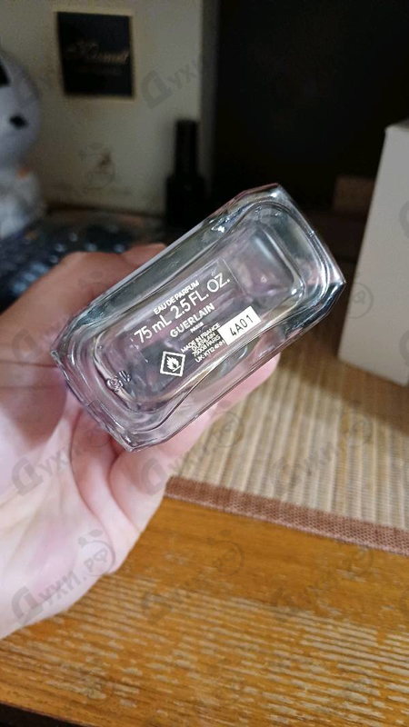 Купить Guerlain Insolence 2021