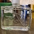 Духи Lacoste Essential Парфюмерия Essential от Lacoste