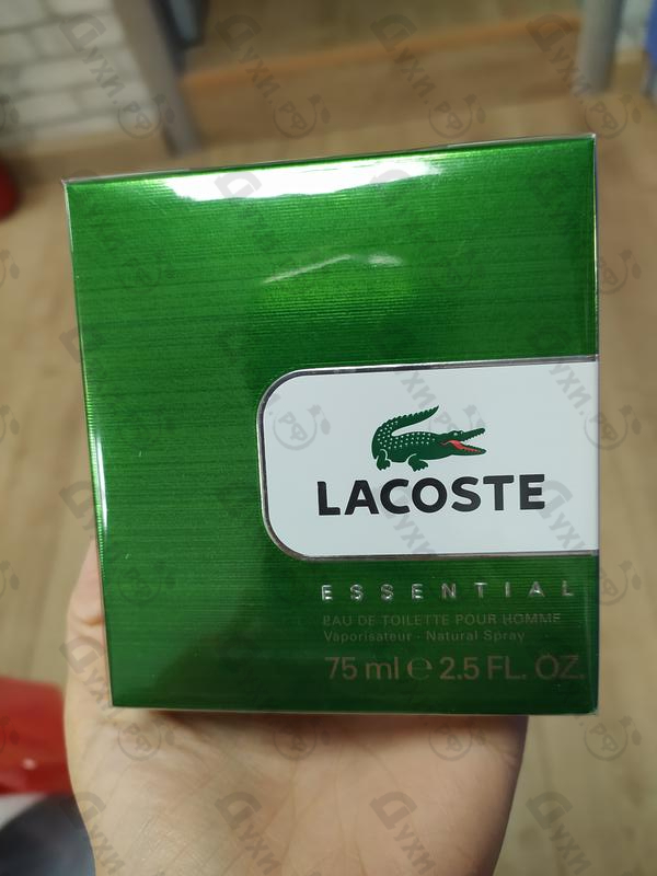 Купить Essential от Lacoste