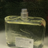 Отзыв Lacoste Essential Купить Essential от Lacoste