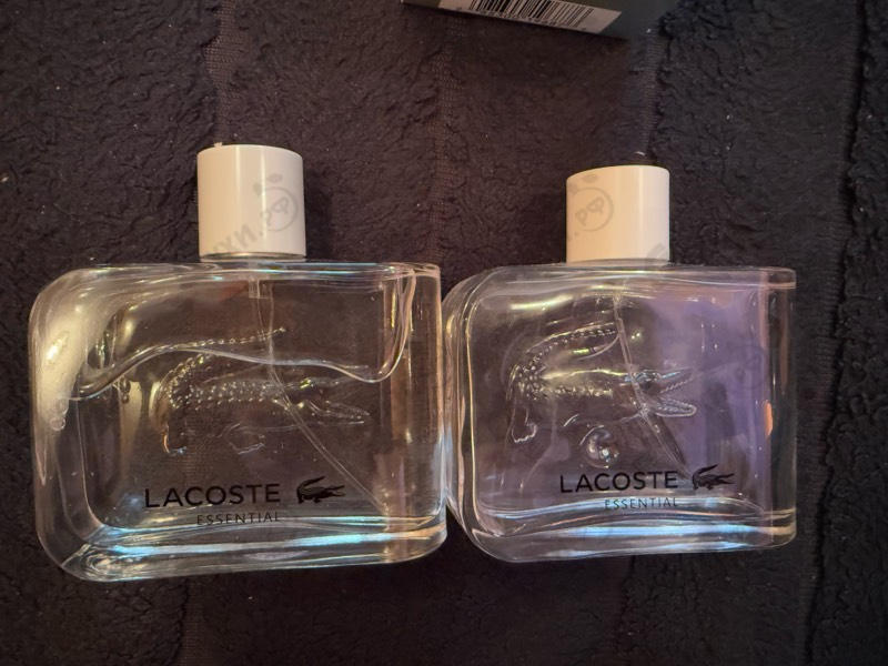 Парфюмерия Lacoste Essential