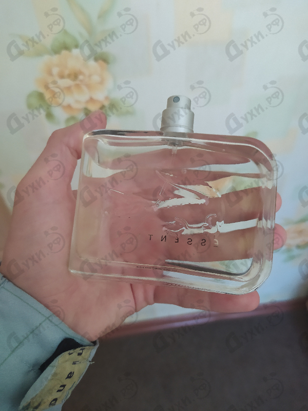 Купить Essential от Lacoste