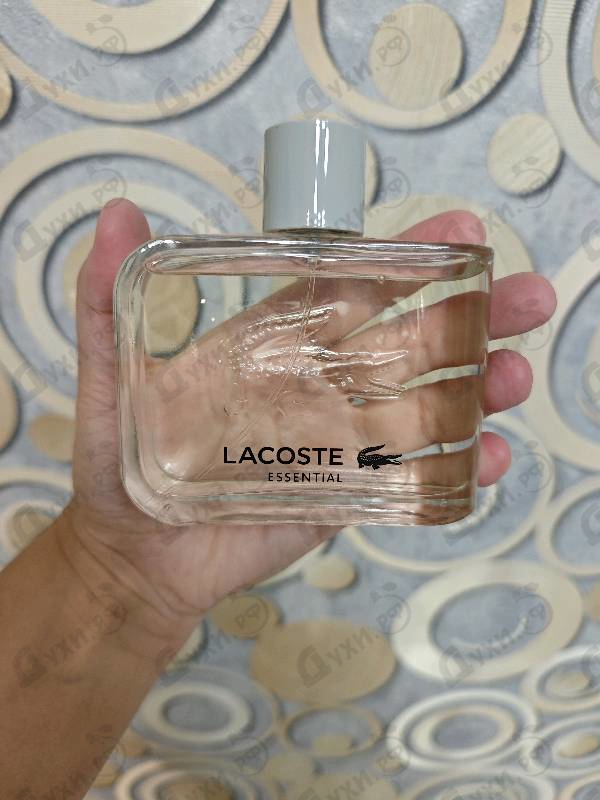 Купить Essential от Lacoste
