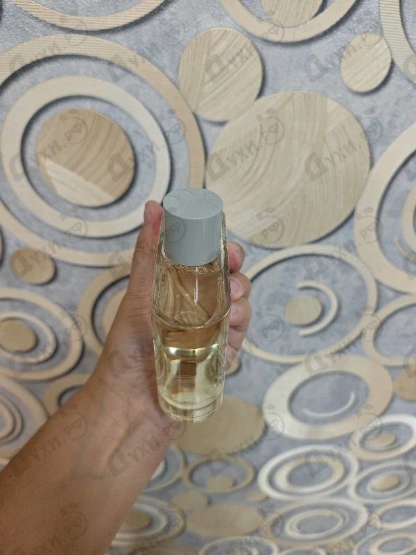 Купить Essential от Lacoste