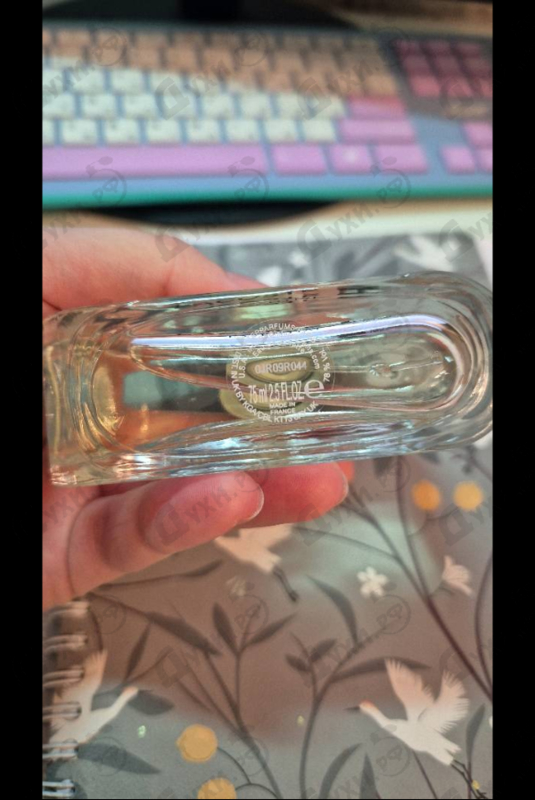 Парфюмерия Essential от Lacoste