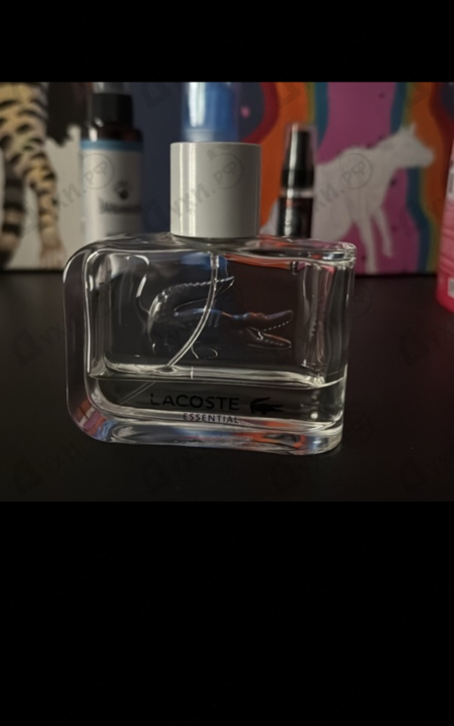Отзыв Lacoste Essential